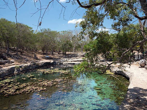 The open Cenote (sinkhole) at the Mayan archaeological site Dzibilchaltun, near Merida Yucatan, Mexico. These caves or sinkholes are one of the natural wonders of the world and were holy to the Mayans. Many cenotes are open for swimming.
