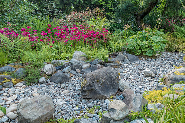 istock Dry Stream Bed And Red Flowers 475011986