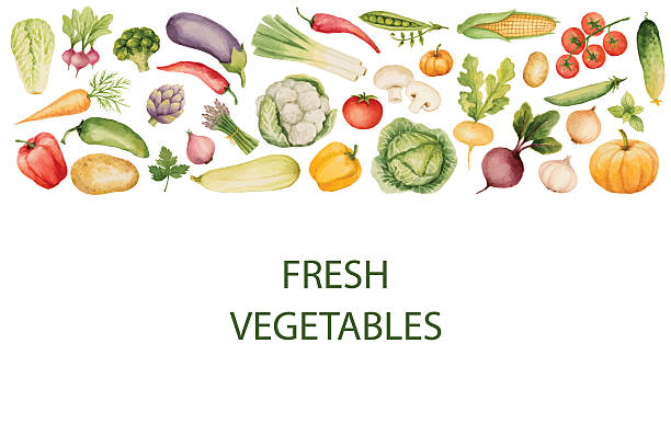 Set of watercolor vegetables.Template for your design. Vector illustration.