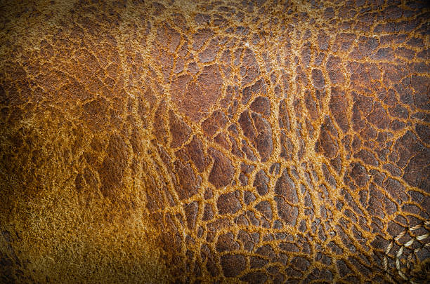 istock Textured of old leather show in frame. 475015468