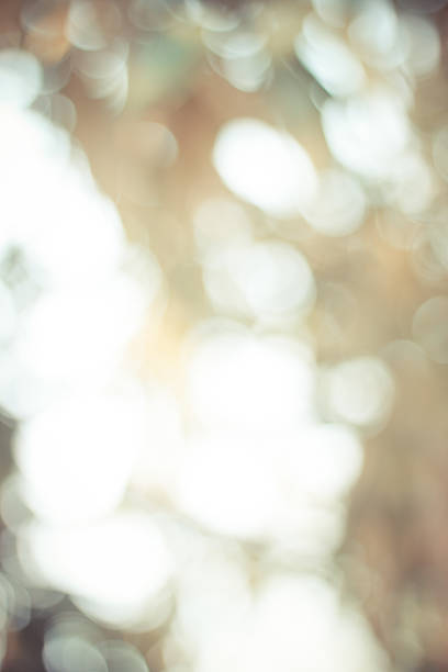 istock Natural Bokeh vintagecolour Background in thailand 475015584