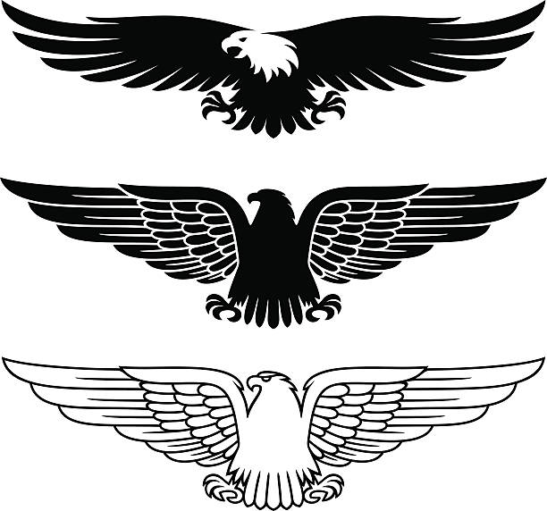 Eagles set Eagles set wings tattoos stock illustrations