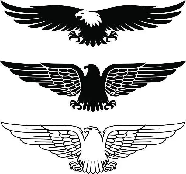 Vector illustration of Eagles set