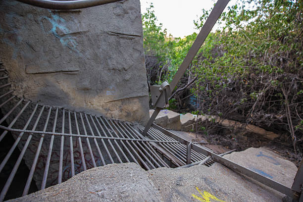 istock Old Los Angeles Zoo 475017832