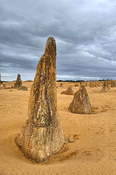 пиннакл в nambung пустыне. - australia desert pinnacle stone стоковые фото и изображения