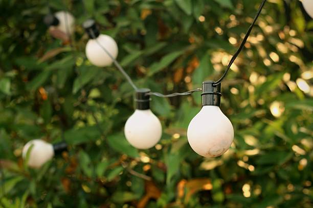 istock Vintage bulbs hanging on the tree at the park 475021078
