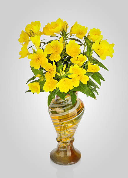 istock Vase with beautiful yellow flowers 475022397