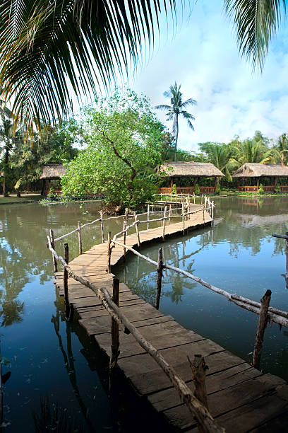 istock Wooden bridge over a lake in tropical park 475022479