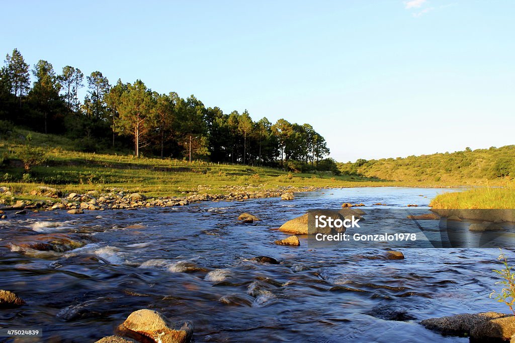 Río de montañas - Foto de stock de Argentina libre de derechos