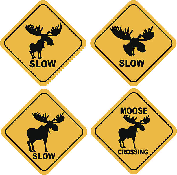 무스 건널목 팻말 - moose crossing sign stock illustrations
