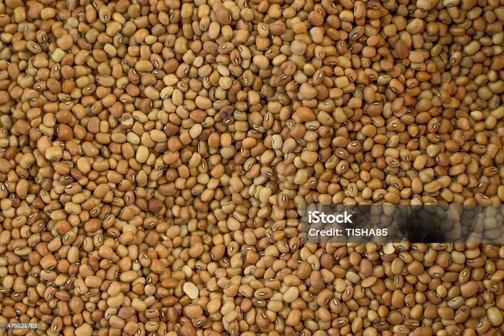 seeds of nuts top view of pile of seeds of nuts 2015 Stock Photo