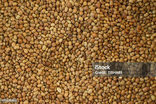 Seeds Of Nuts Stock Photo - Download Image Now - 2015, Allergy, Animal Shell