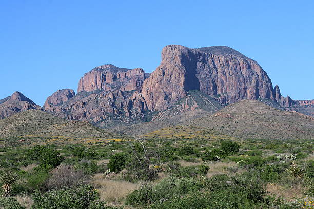 istock Big Bend National Park - Texas 475030388
