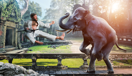 Furious karateka is fighting with an elephant in the ancient temple