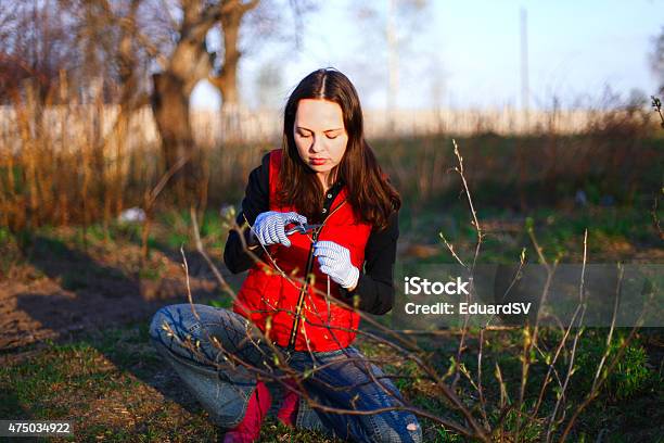 Garden Stock Photo - Download Image Now - 2015, Adult, Agriculture