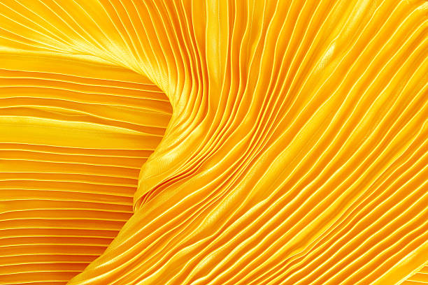 istock gold fabric silk for background 475036060