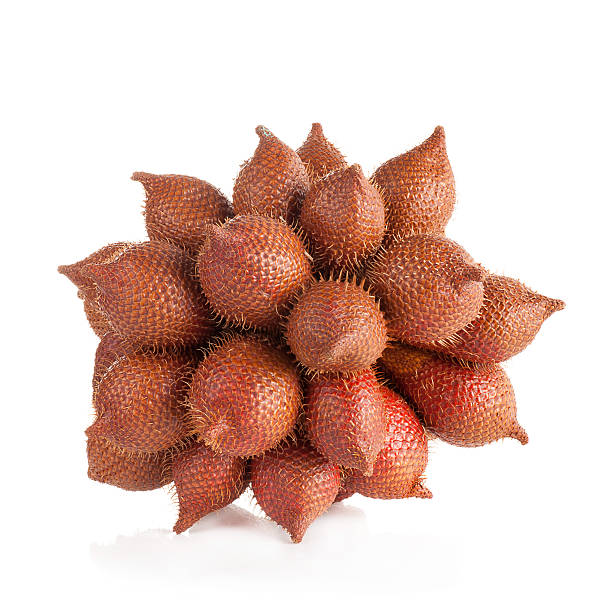 istock salak isolated on a white background 475038012