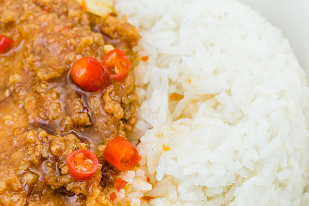 fried chicken with rice