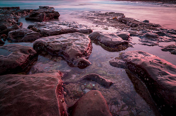 Meroo evenings Sunset at the beach. shoalhaven stock pictures, royalty-free photos & images