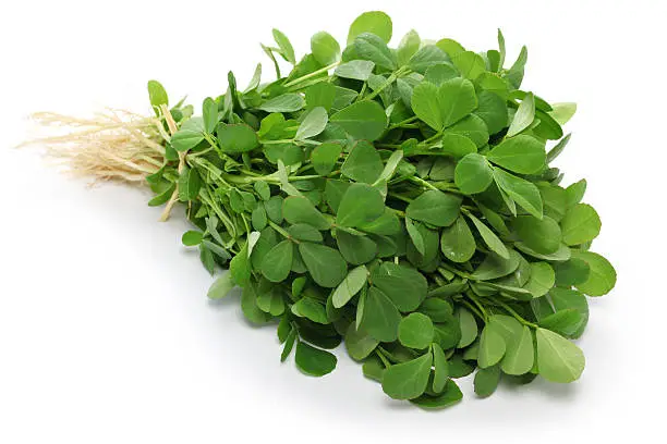 Photo of methi, fenugreek leaves