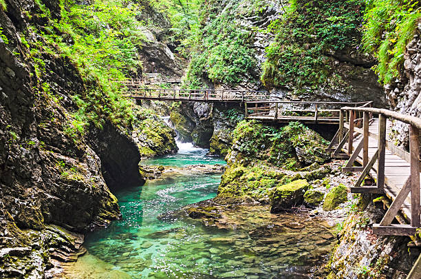 istock Vintgar Gorge, Slovenia 475039455