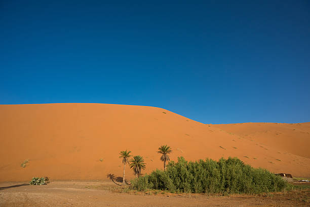 Stunning Erg Chebbi sand dunes in the Moroccan Sahara Desert at sunrise
