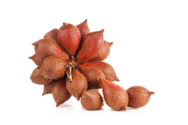 istock salak isolated on a white background 475045214