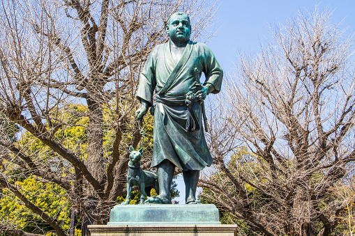 Tokyo,Japan-April 2,2015 : Monument of Saigo Takamori with his dog at Ueno park  in Tokyo,Japan shoot on April 2,2015.He was the last true samurai .