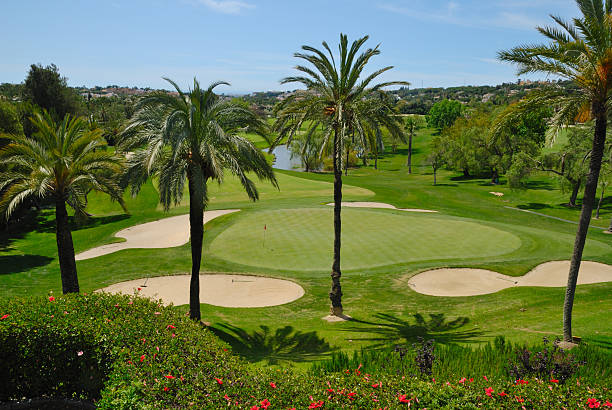 campo da golf - golf landscape golf course tree foto e immagini stock