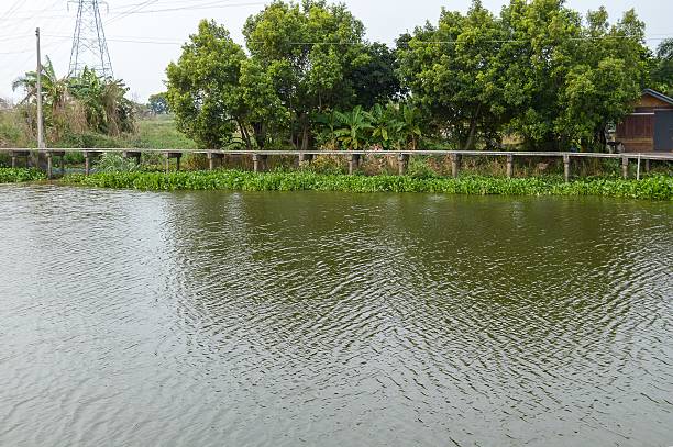 istock waterfront in country Thailand 475060940