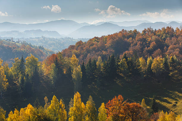 istock Beautiful autumn foliage in the mountains 475060975