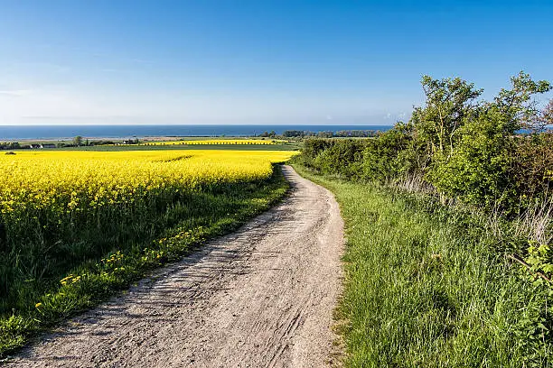 Photo of Trail to the Baltic Sea