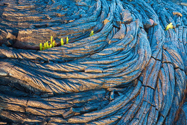 istock Molten cooled lava and green fern 475064396