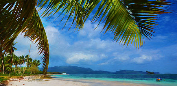 istock Digital art, paint effect, Samana Dominican republic, playa rincon 475067444