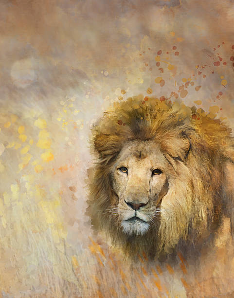 istock African Lion Portrait 475068084