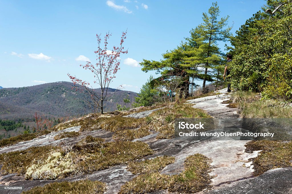 On top of a mountain with exposed rock North Carolina location in Panthertown on top of a mountain with exposed rock. Sunny spring day. 2015 Stock Photo