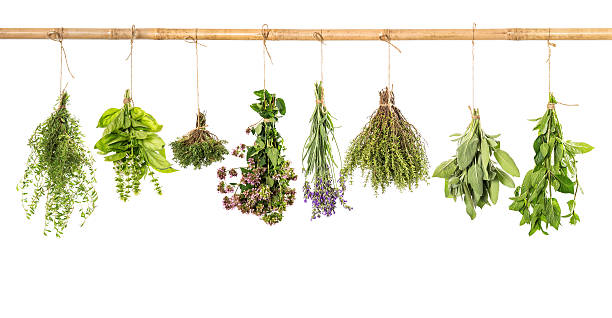 varios 신선한 허브 흰색 바탕에 그림자와 - lavender dried plant lavender coloured bunch 뉴스 사진 이미지
