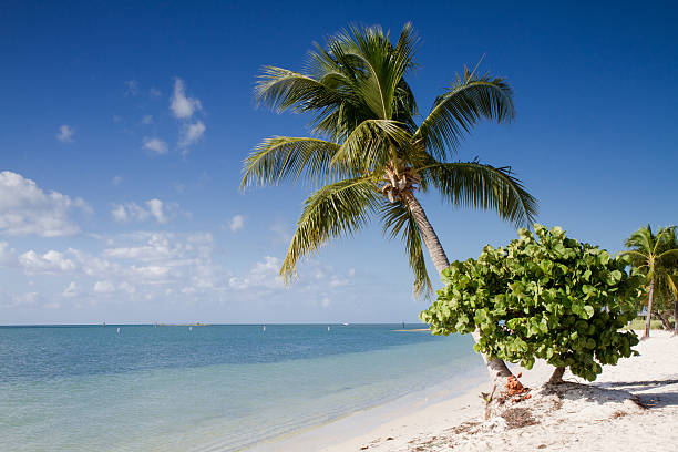 istock Sombrero Beach on the Florida Keys 475069997