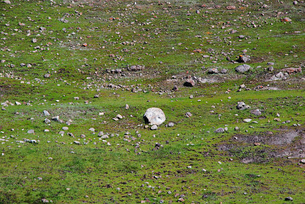 istock Lone Rock Coyote Ridge 124 475070354