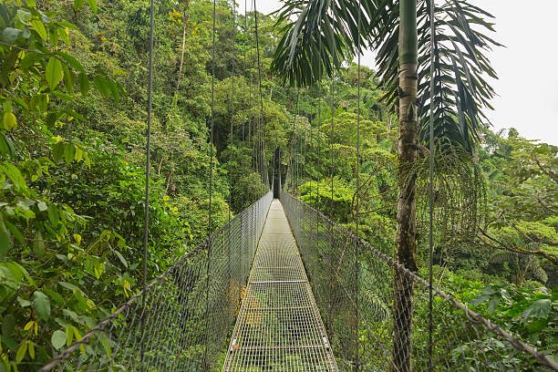istock Hanging bridge, Costa Rica 475070368