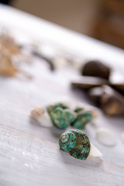 Sea and beach, natural colorful concept