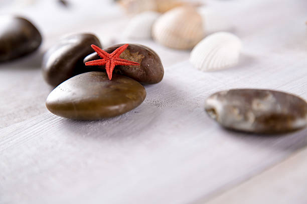 istock Plenty of stones and shells on the beach 475077116