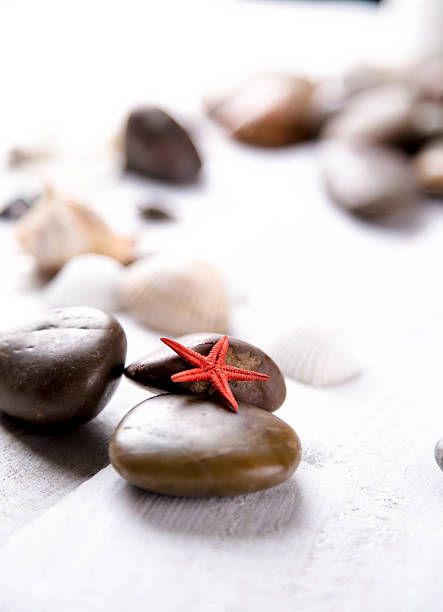 istock Plenty of stones and shells on the beach 475077632