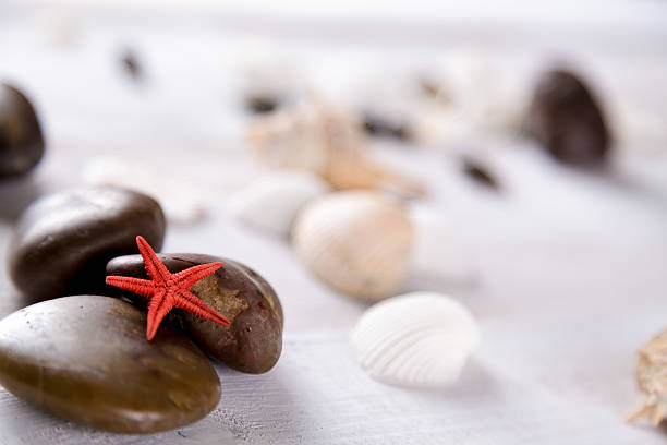 istock Plenty of stones and shells on the beach 475077636