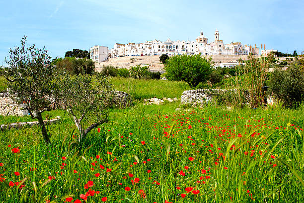 locorotondo – wikipedie - locorotondo - stock snímky, obrázky a fotky