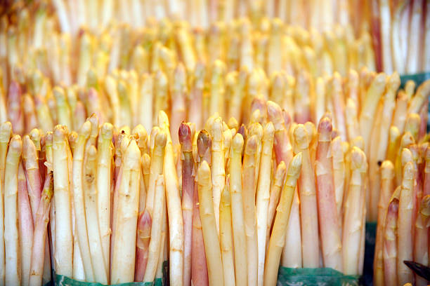 White sparrow grass on market stall Group of white asparagus as a background asparagus organic dinner close to stock pictures, royalty-free photos & images