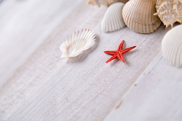 Sea and beach, natural colorful concept