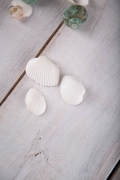 istock Fresh and pure seaside concept 475083288
