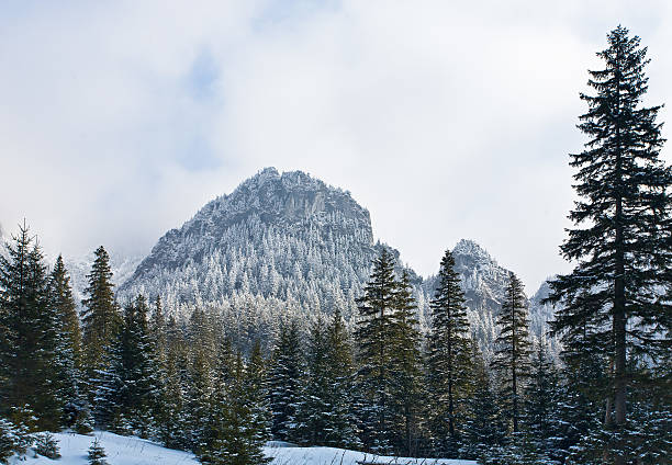 istock Tatra Mountains in winter 475083404