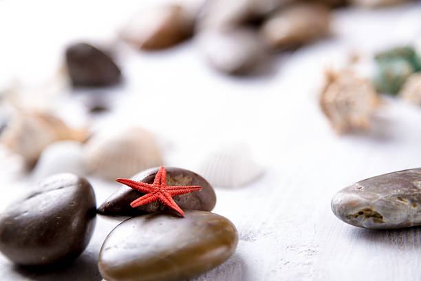 istock Plenty of stones and shells on the beach 475083586